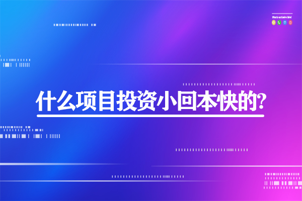 什么項目投資小回本快的?