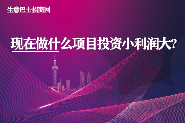 現(xiàn)在做什么項目投資小利潤大?