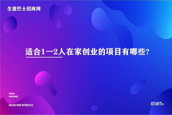 在家創(chuàng)業(yè)項目